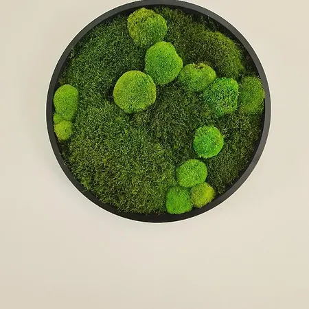 De Vida Y Luz Hébergement de vacances Auderath