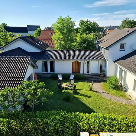 De Vida Y Luz Auderath