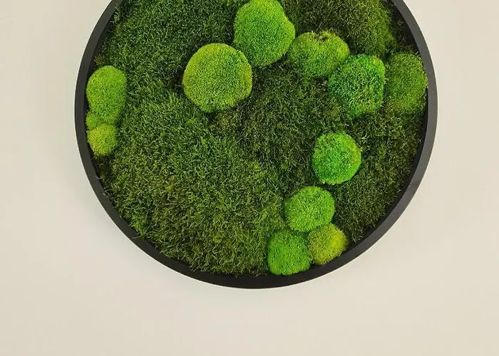 De Vida Y Luz Casa de Férias Auderath